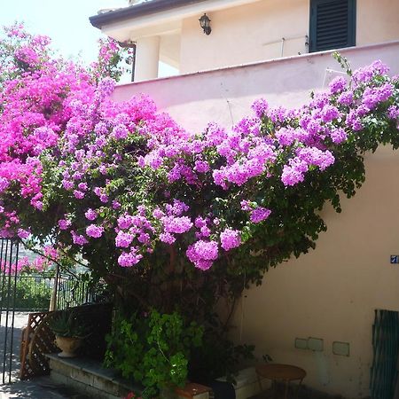 Villa Panthea Capo Vaticano Εξωτερικό φωτογραφία