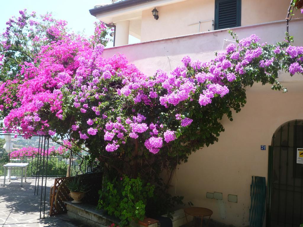 Villa Panthea Capo Vaticano Εξωτερικό φωτογραφία