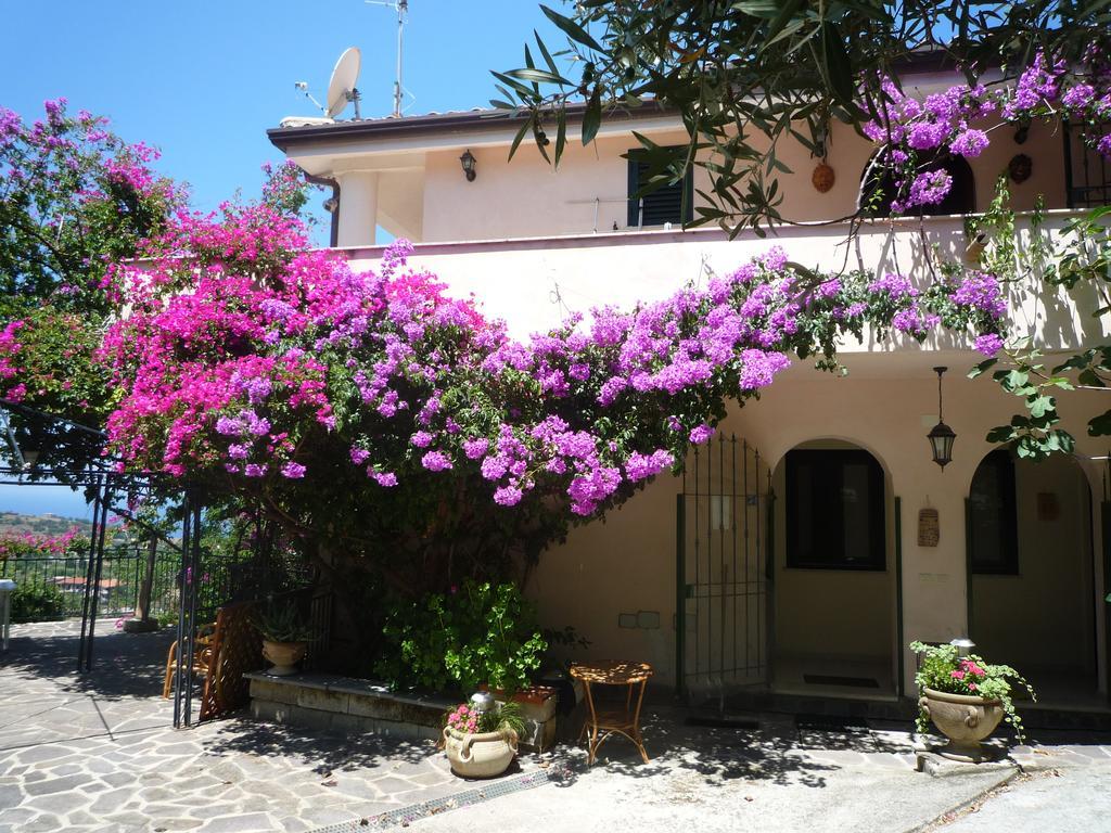 Villa Panthea Capo Vaticano Εξωτερικό φωτογραφία